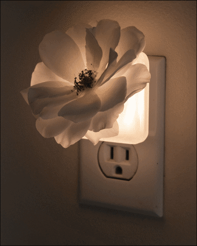 flowerlight2.gif