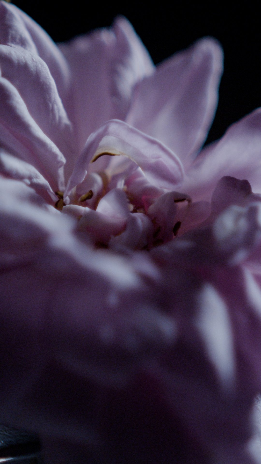 Sequence 01.00_00_07_06.Still004.jpg