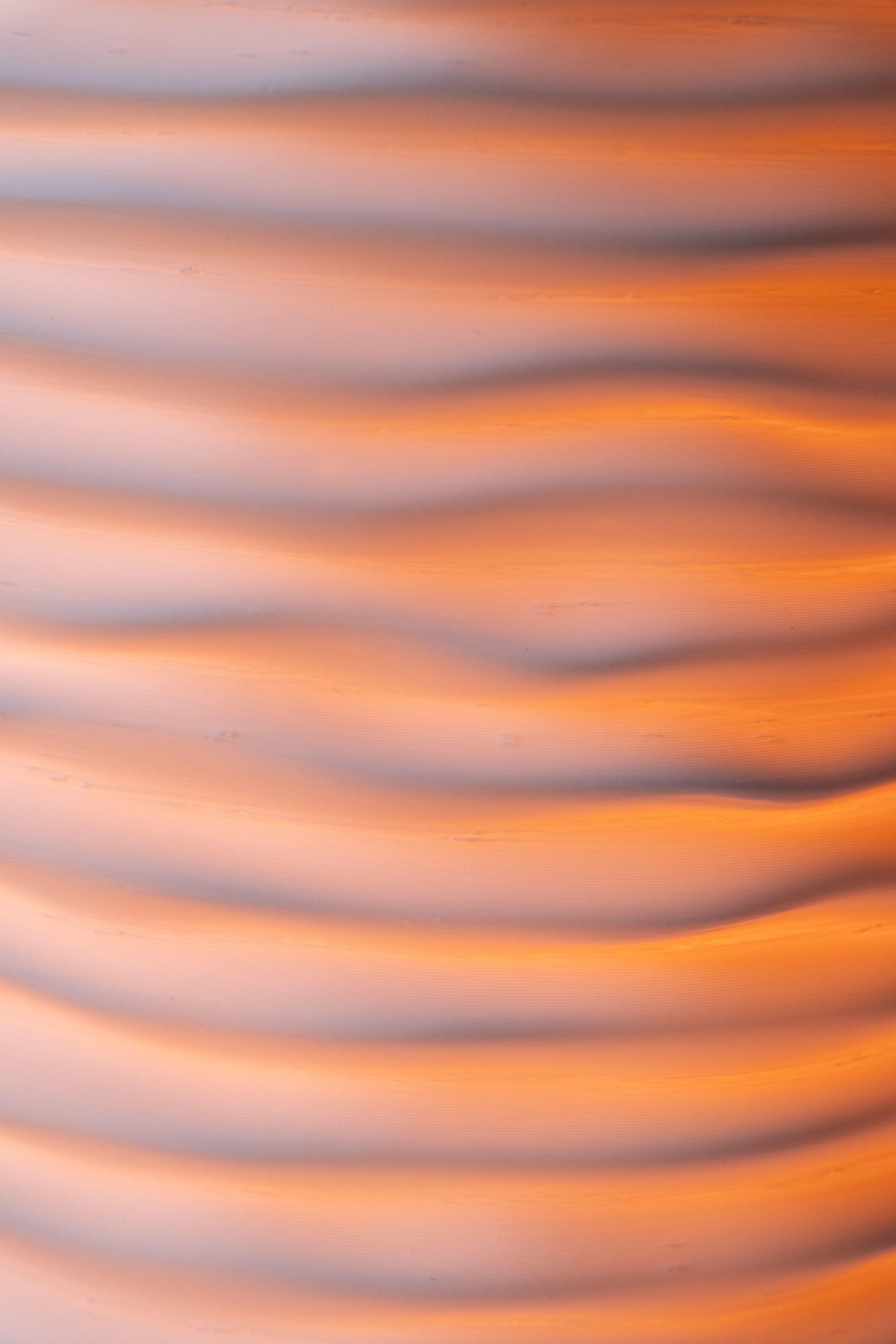 DSCF1538.jpg