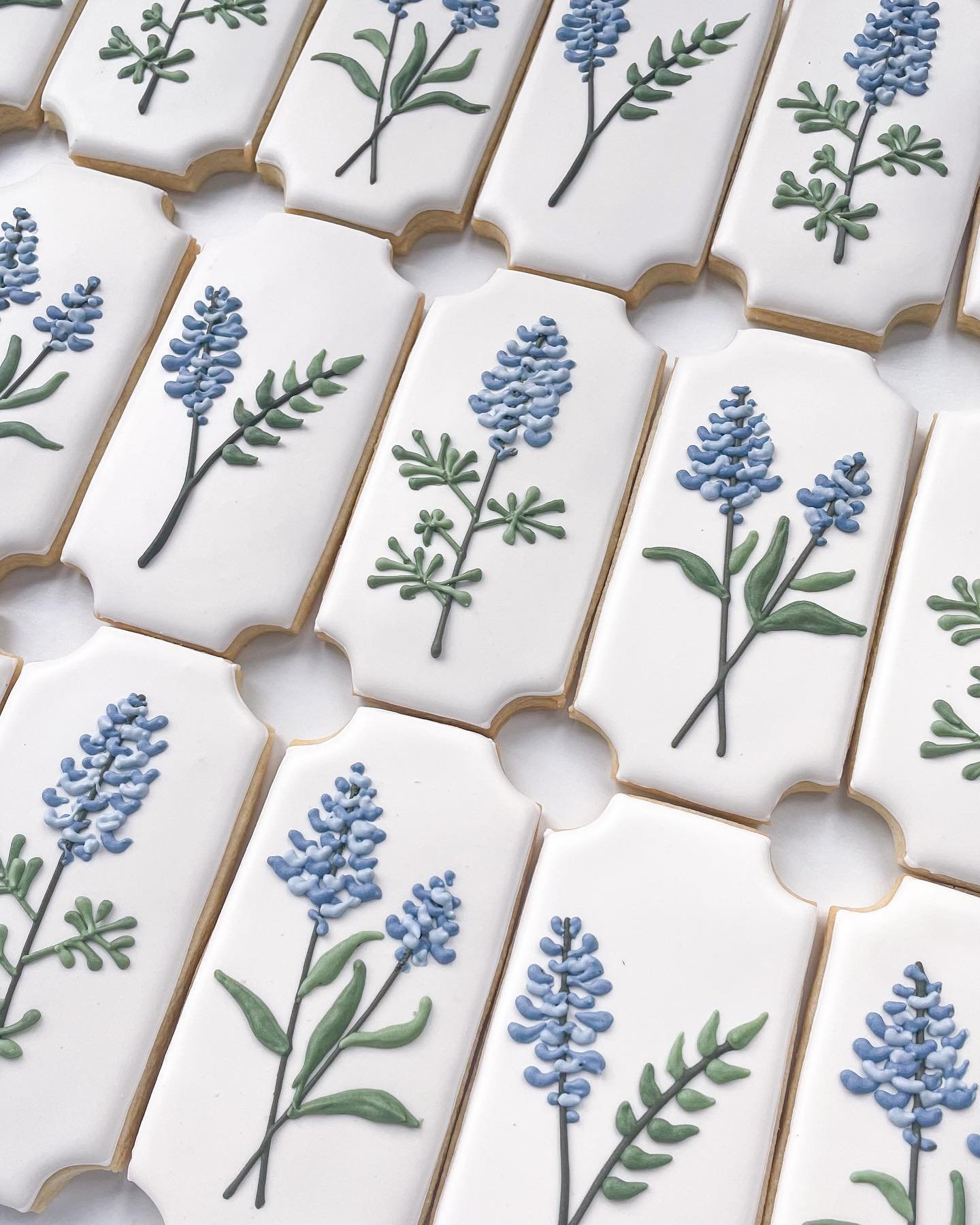 These sweet little Texas bluebonnets were on repeat in the kitchen recently. And I definitely had &ldquo;Cowboy Take Me Away&rdquo; stuck in my head the entire time. 

#bluebonnetcookies #flowercookies #royalicingcookies