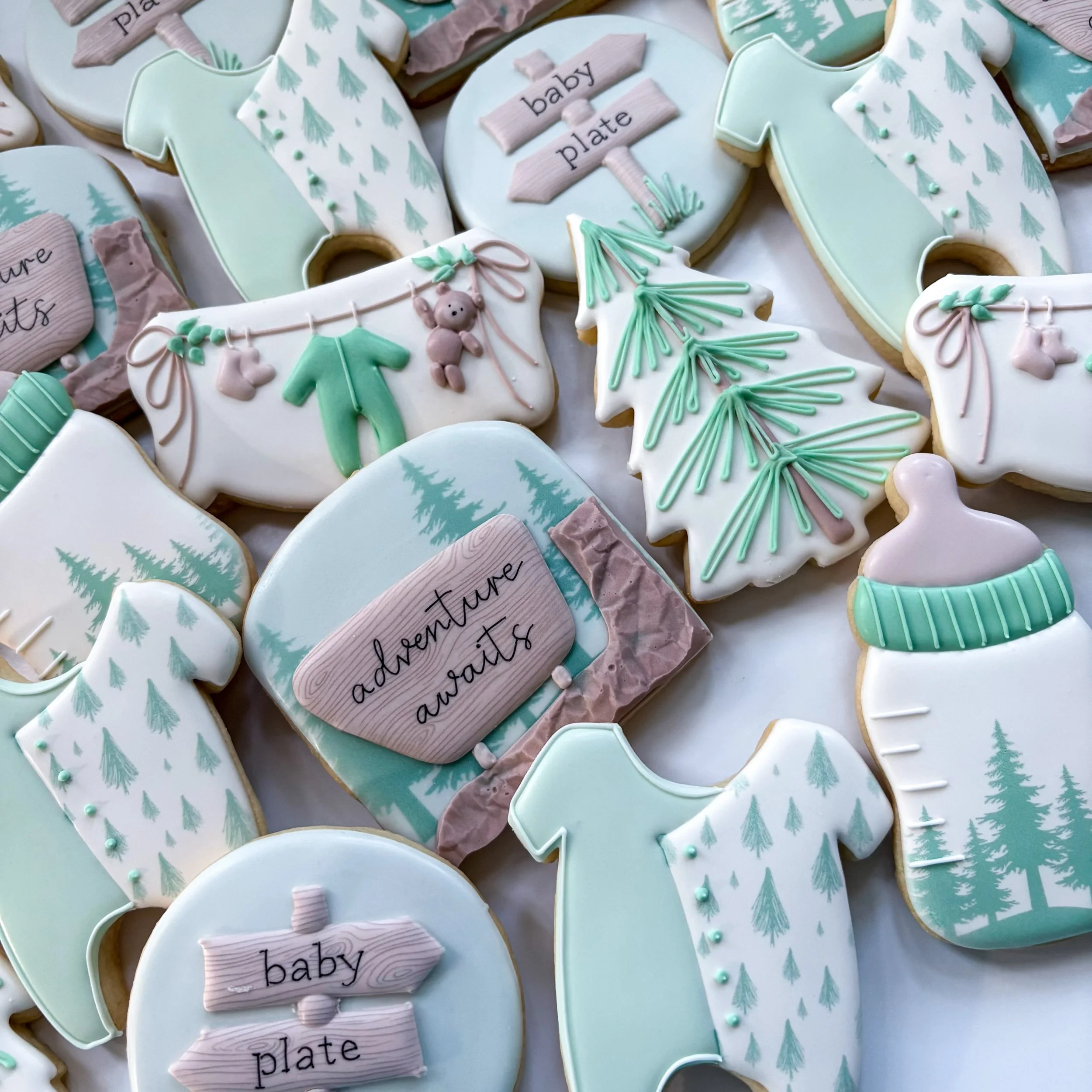 Adventure awaits 💚 

#babyshowercookies #adventureawaitscookies #royalicingsugarcookies