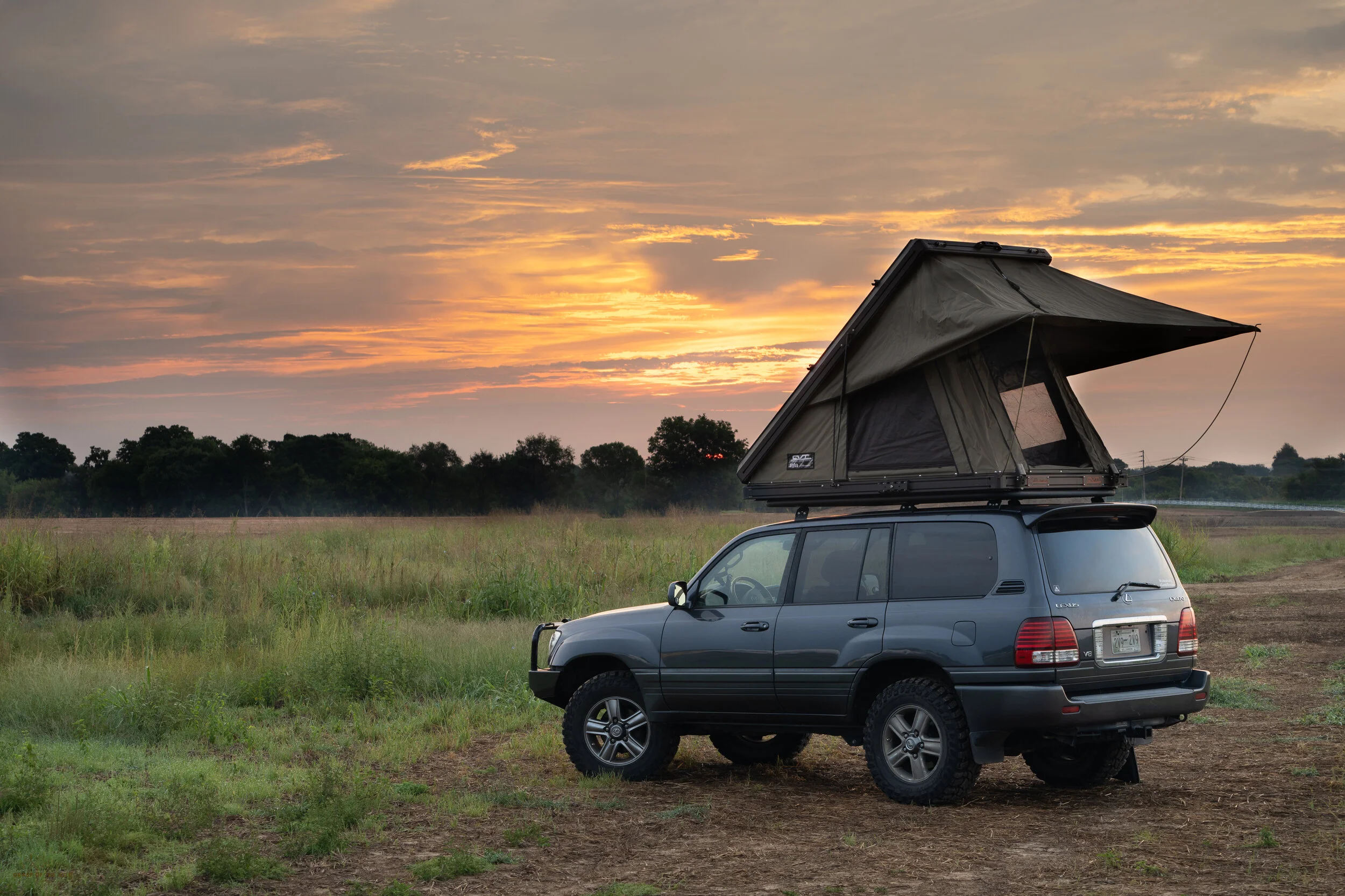 The Bush Company Alpha RTT Review 