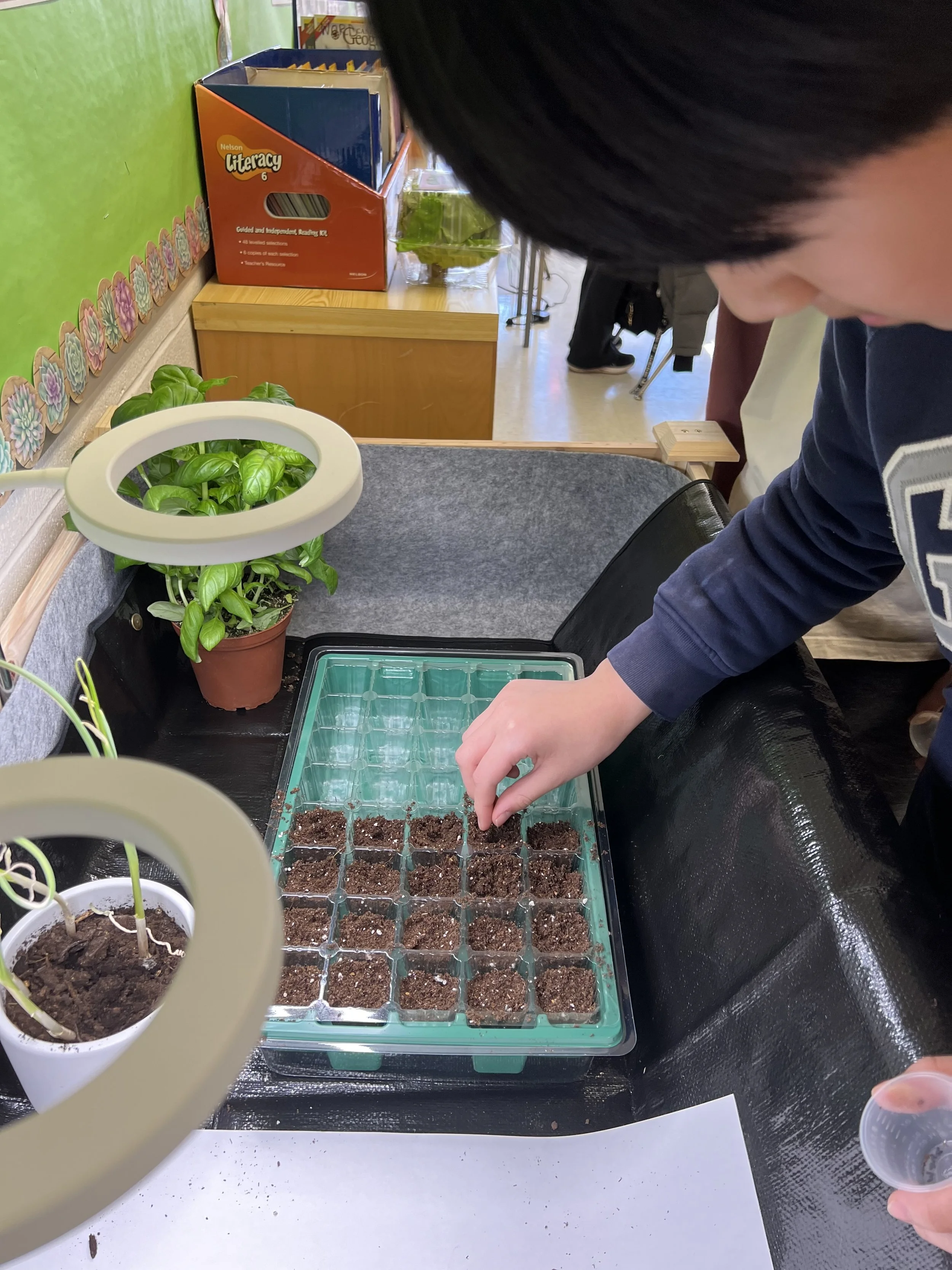 Laura McBride Junior Green Thumbs Sutton Spirit