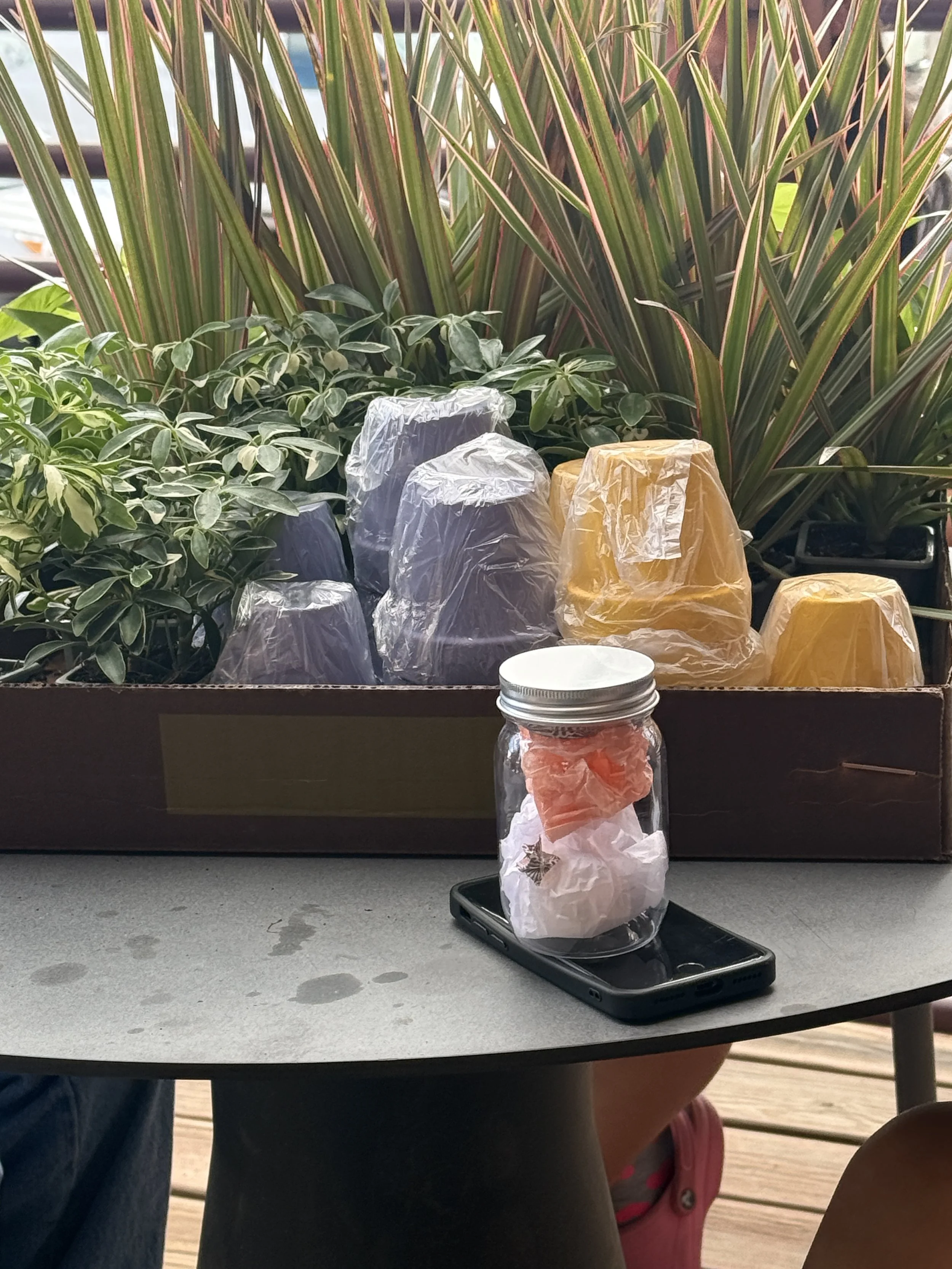 Variety of plants and planters behind origami star jar on phone 