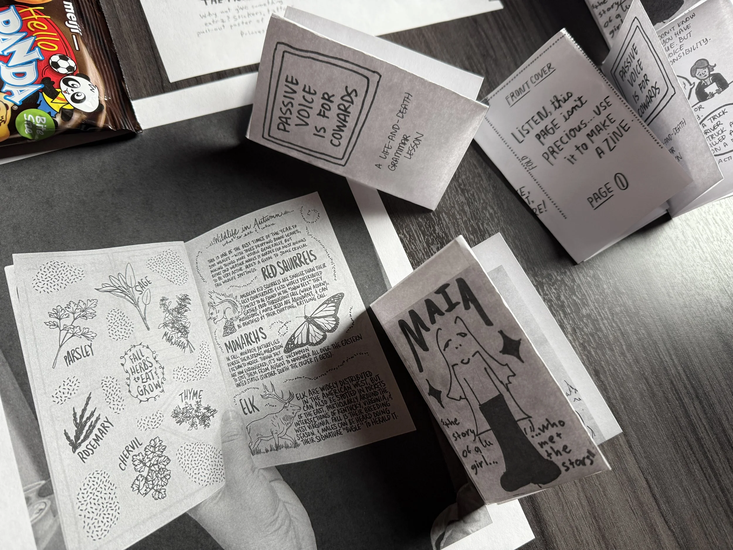 Save the Date: Session 1 - Zine Series w/ Madalyn Drewno and Helen Nguyen