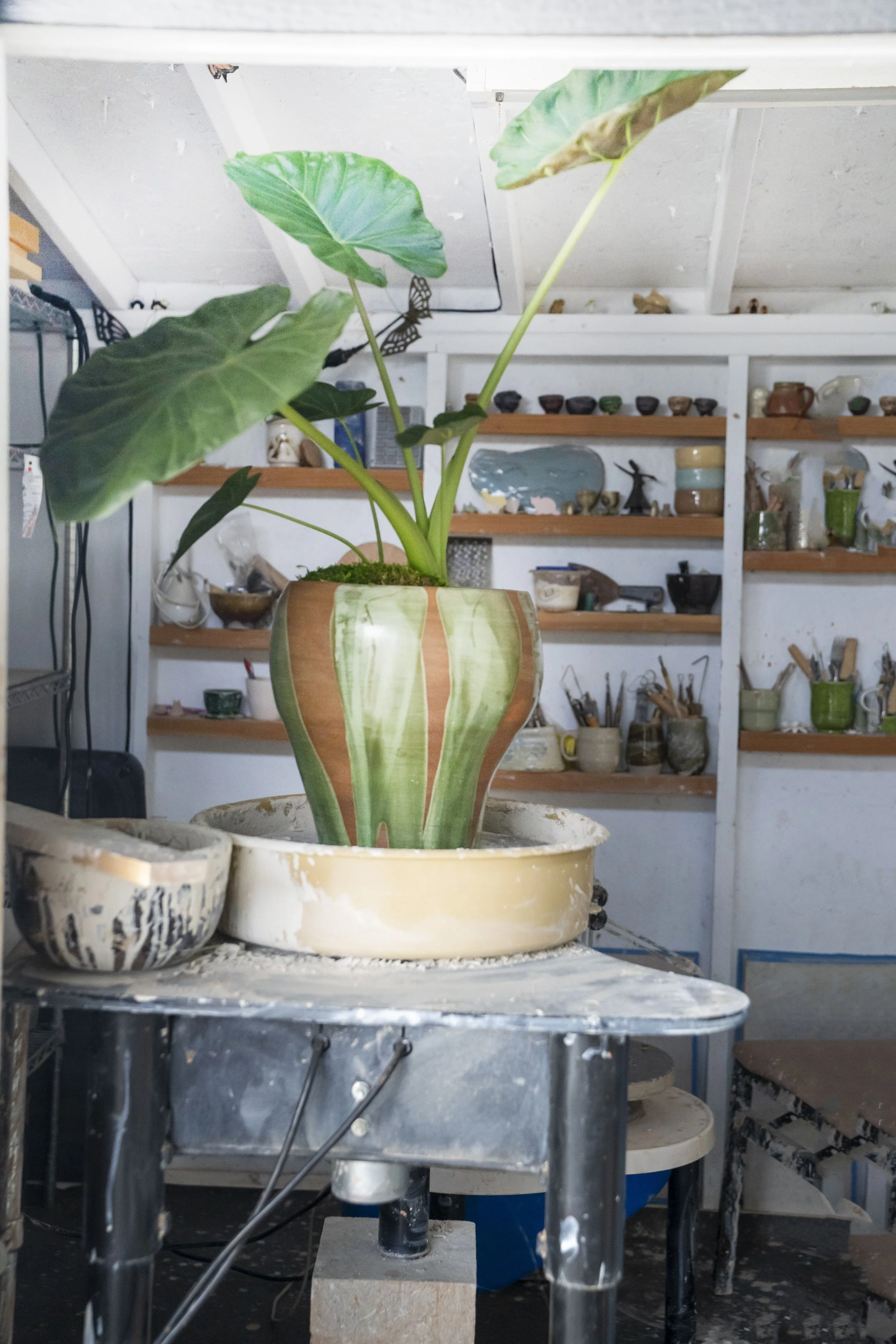 Handcrafted Ceramic Vase
