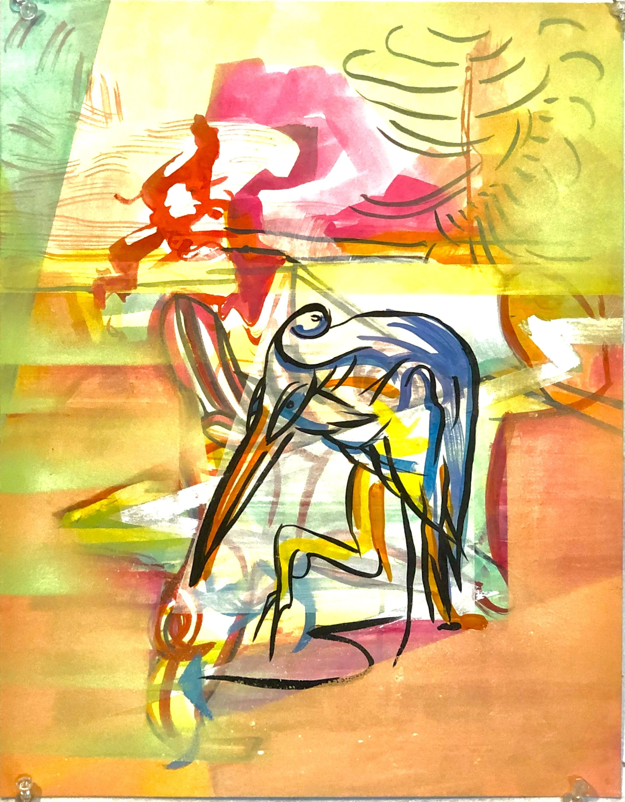 Pelican