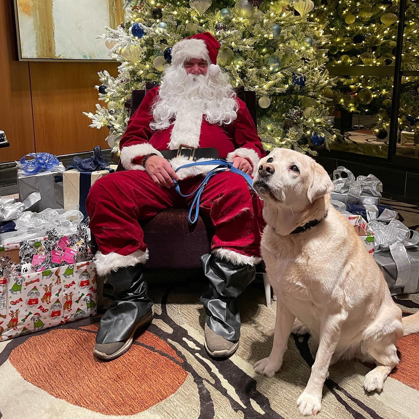 Hank experienced his first real Christmas! The holidays definitely didn&rsquo;t look the same this year, but we stayed as merry as we could and made it work. Sending lots of love and cheer from my family to yours 🎄🤍