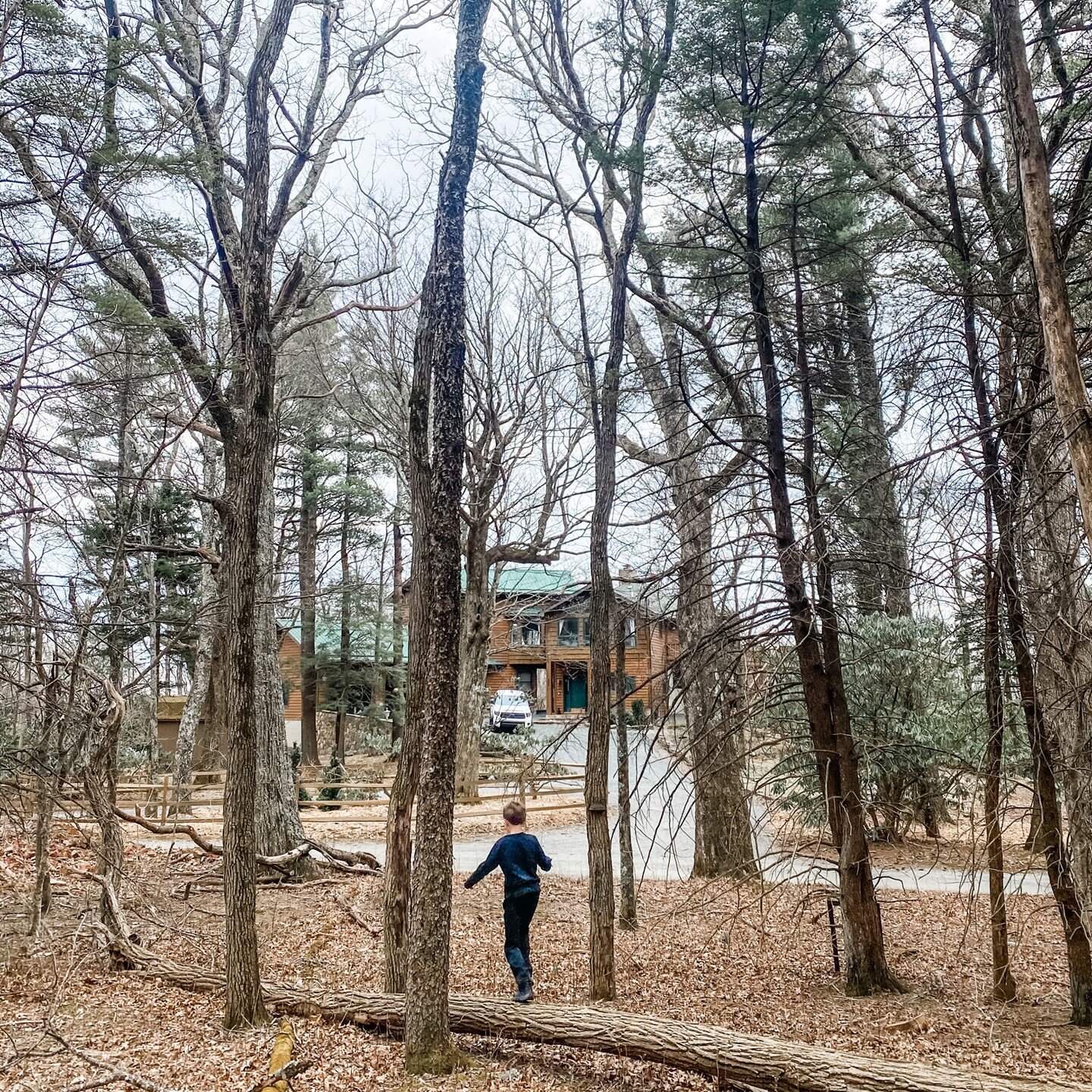 Getting outside + exploring is a big part of this place for our family.  So grateful to have Pisgah National Forest, the Blue Ridge Parkway and all the trails we could ever wish for right here at @sleepybearlodge. 🐻🌲🥾 
*
*
*
#stateparklove #forest