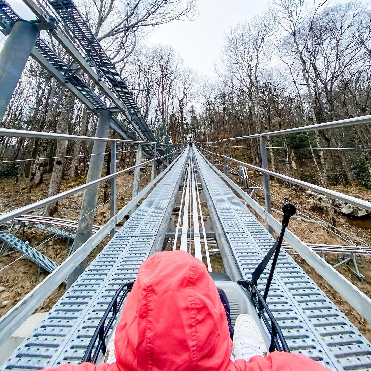 Riding @wildernessrunalpinecoaster is the BEST way to start your week!  We decided to check it out this morning for the first time and it was amazing!  We highly recommend you checking this out during your stay with us.  You&rsquo;ll need to make a r