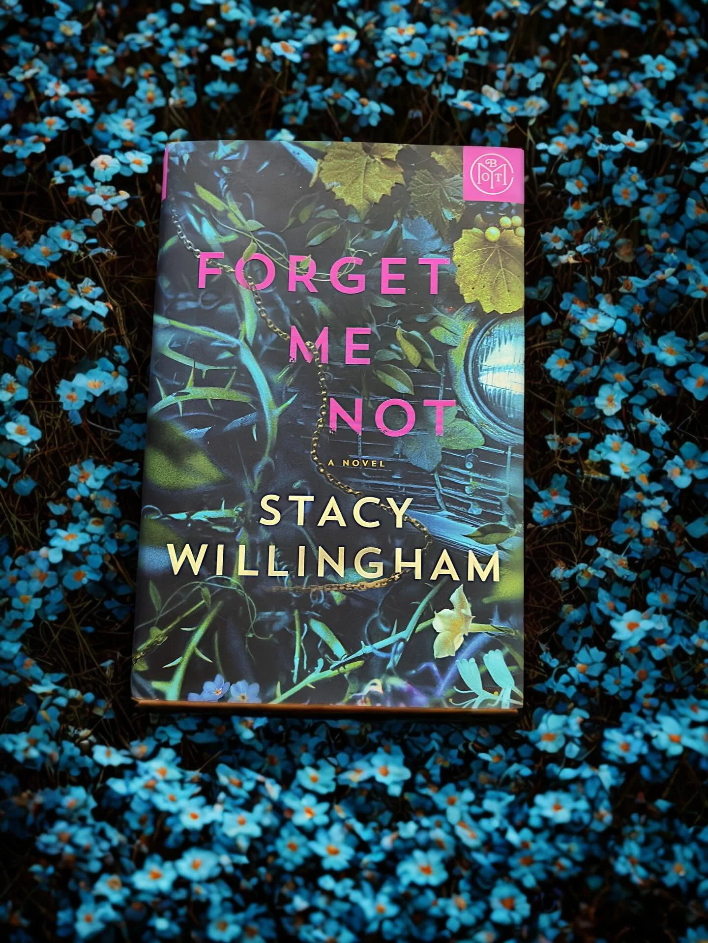 If you haven’t picked up Stacy Willingham’s latest release, then you need to. 
In a see of thrillers with predictable twists, Willingham snuck a few by me. I loved the atmosphere and how the FMC wasn’t a total idiot. Thank you! 
But