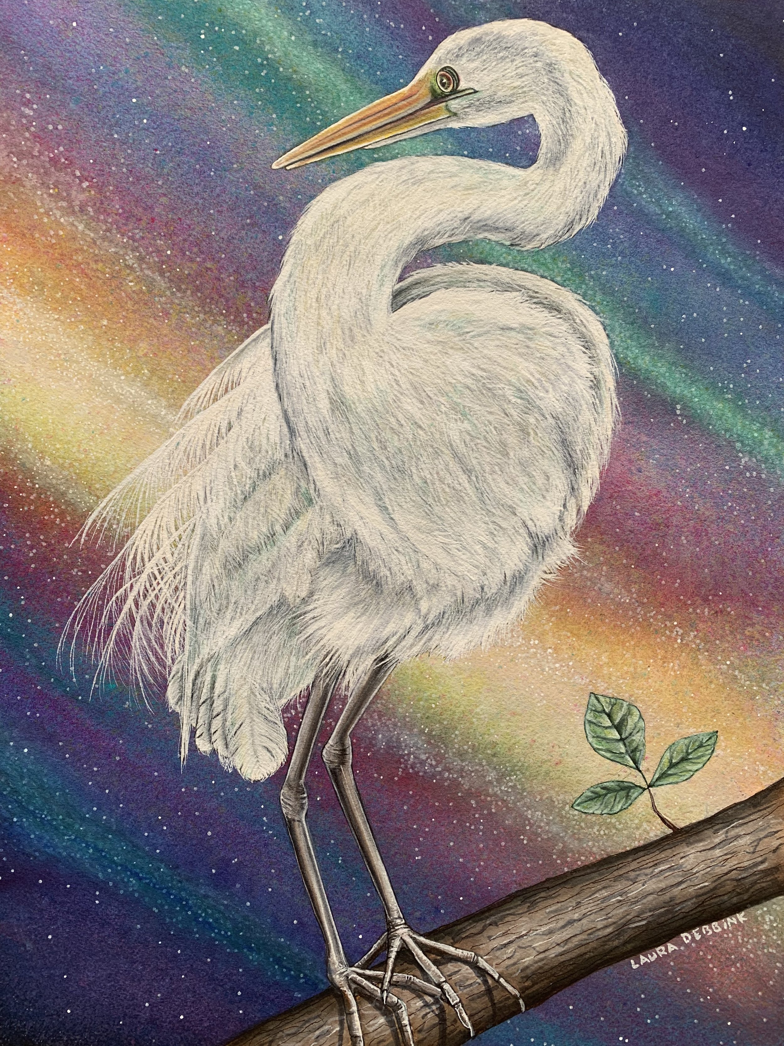 Egret.jpg