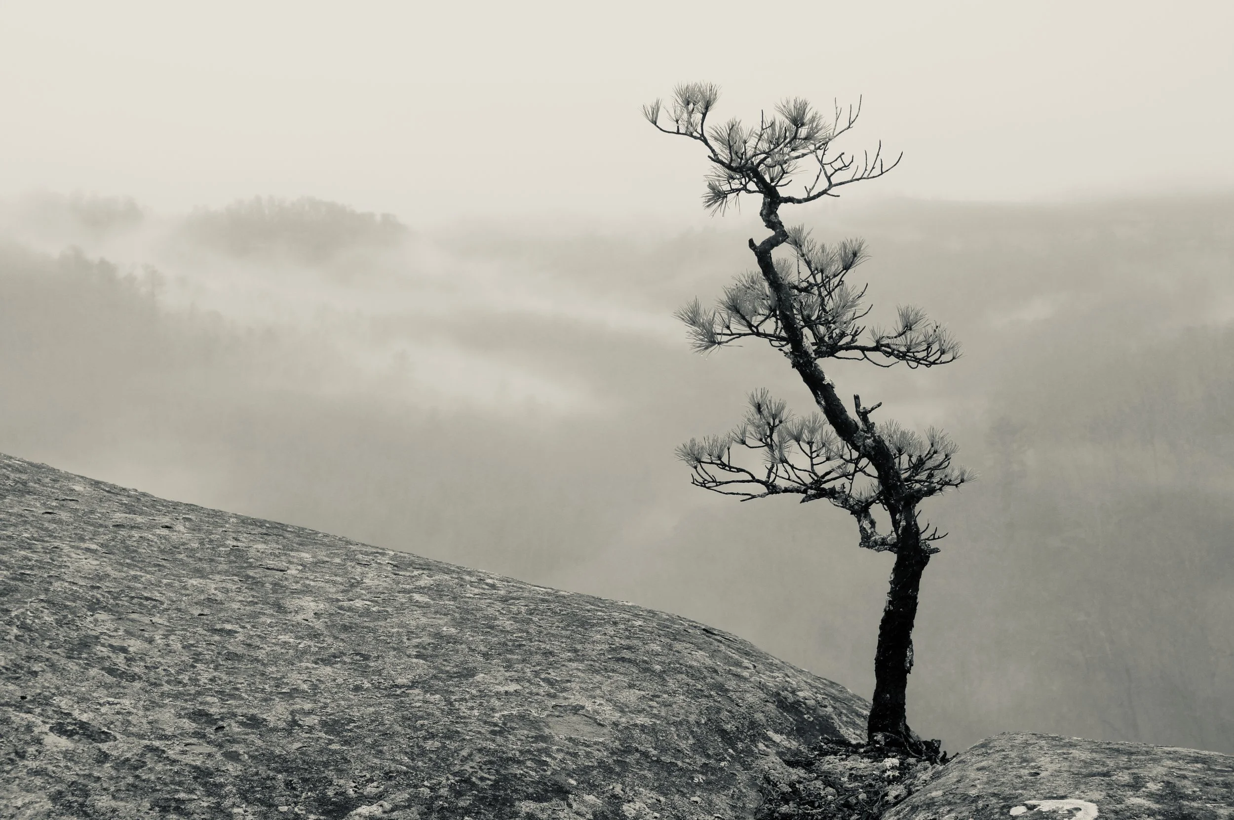 _dsc0215.jpg