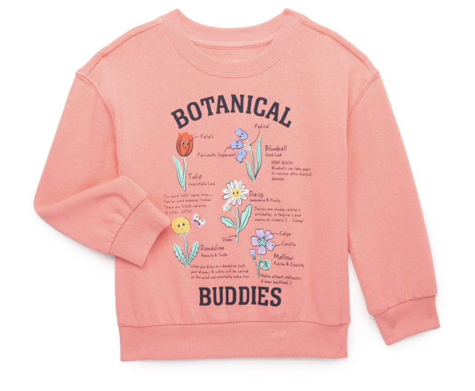 Screenshot 2025-04-27 at 12.41.12 PM.png