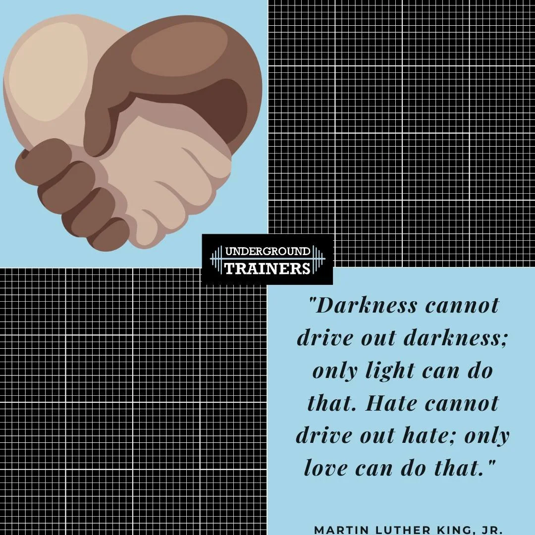 In honor of Dr. Martin Luther King, Jr. Day of Service

"Darkness cannot drive out darkness.
Only light can do that.
Hate cannot drive out hate.
Only love can do that.&rdquo; &mdash; Dr. Martin Luther King Jr.

Dr. King didn&rsquo;t deny darknes