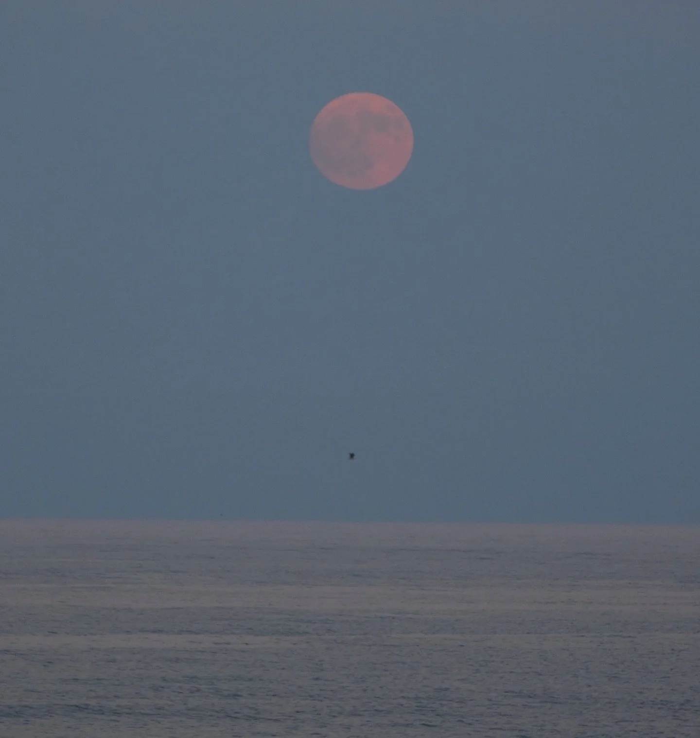 🌕 Full moon over the Mediterranean Sea