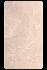 Canada Goose's Social Media fashion campaign, created by Content creator and Photographer Andres Hernandez, features Girls running in the woods in upstate New York.