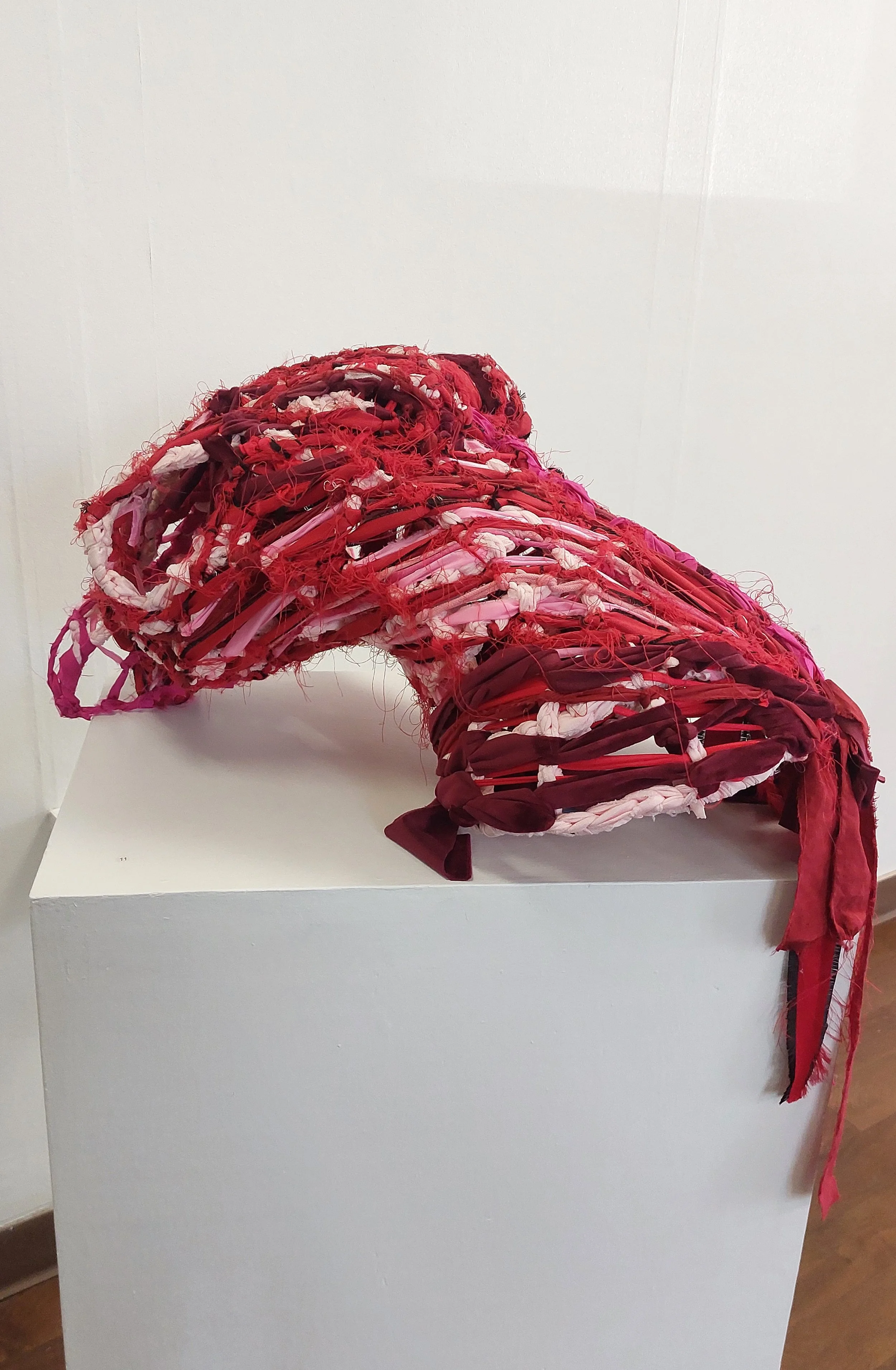 Raw - Patricia Downs.jpg