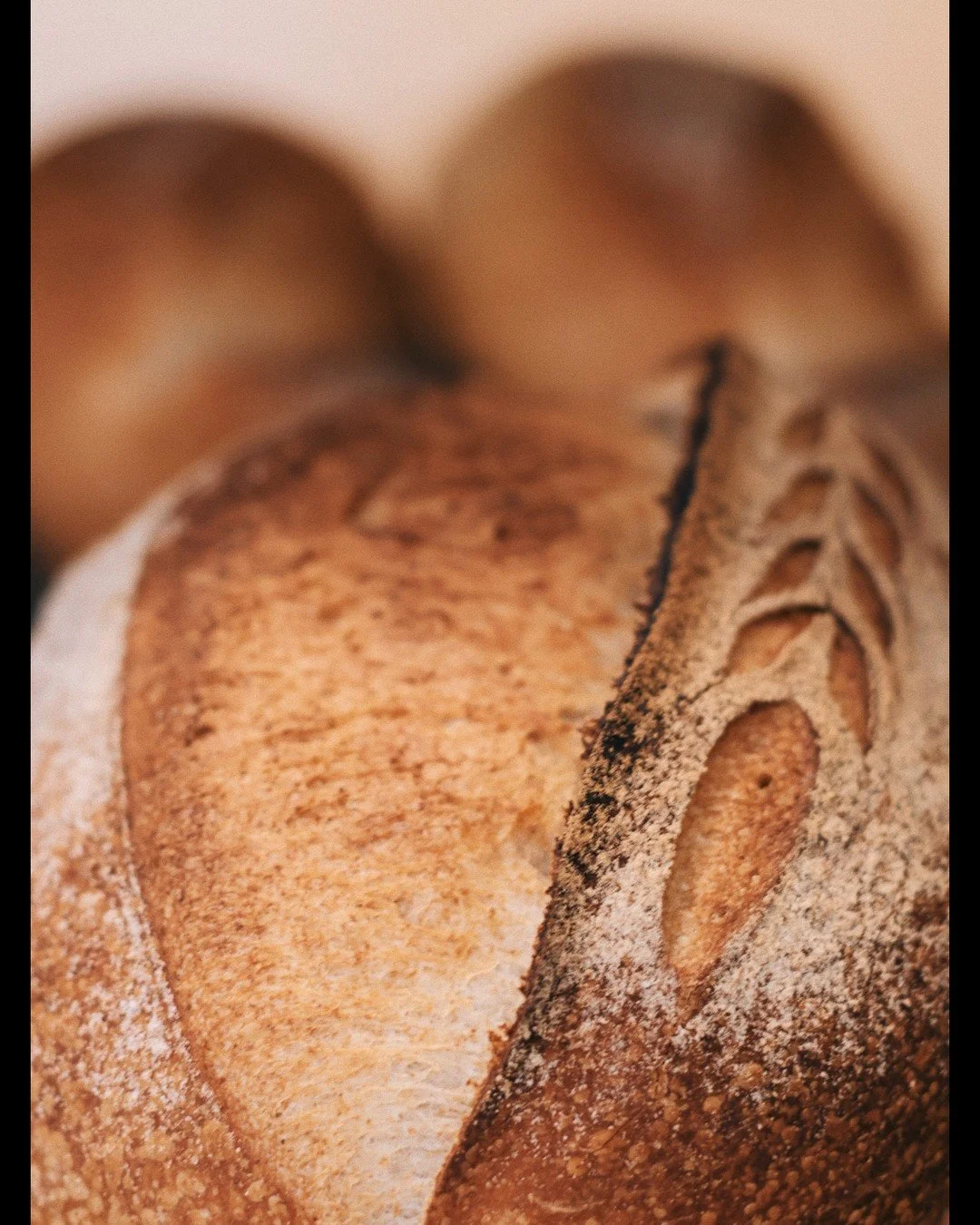 oi, sumido. 😜

🏠 Lojinha aberta sempre de ter&ccedil;a a s&aacute;bado das 9 &agrave;s 19 horas. 

📍Rua Paula Ney, 298, na Aclima&ccedil;&atilde;o, pertinho do metr&ocirc; Ana Rosa
#compremp&atilde;o #comprempao #padariaartesanal #artisanbread #be