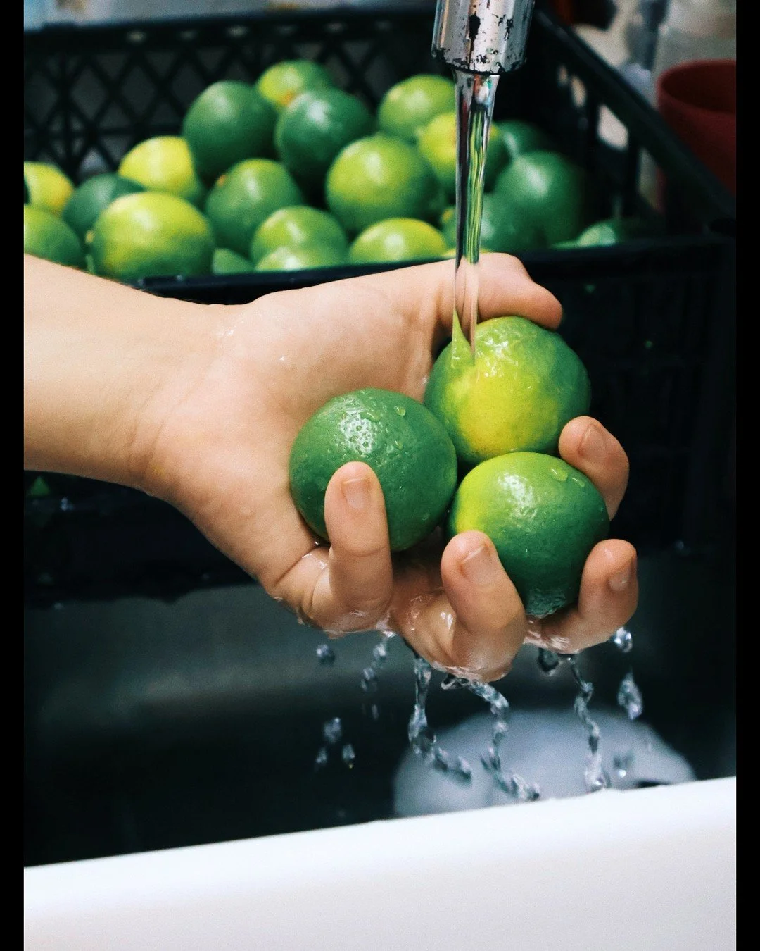 ter&ccedil;a-feira &eacute; dia que chega hortifruti aqui. &eacute; dia de lavar, higienizar, organizar, deixar tudo bonitinho pra semana. quem adivinha o que vem a&iacute; com esses lim&otilde;es lindos?

🏠 Lojinha aberta sempre de ter&ccedil;a a s
