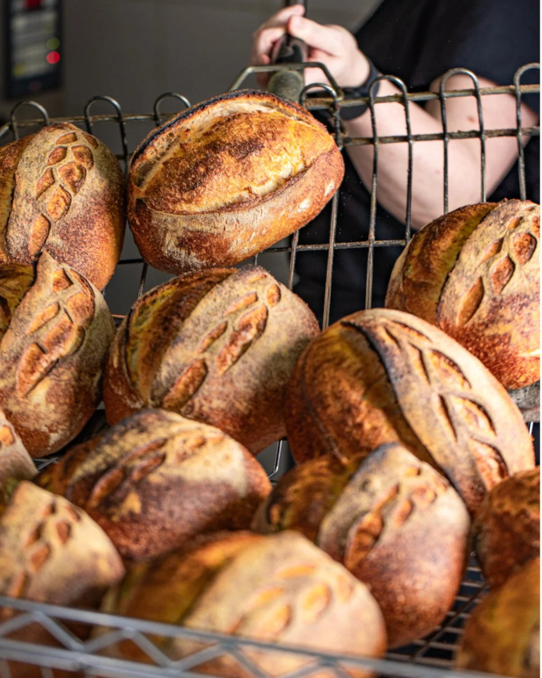 semaninha cheia de p&atilde;es e coisas lindas assim, s&oacute; vem.

🏠 Lojinha aberta sempre de ter&ccedil;a a s&aacute;bado das 9 &agrave;s 19 horas. 

📍Rua Paula Ney, 298, na Aclima&ccedil;&atilde;o, pertinho do metr&ocirc; Ana Rosa
#compremp&at