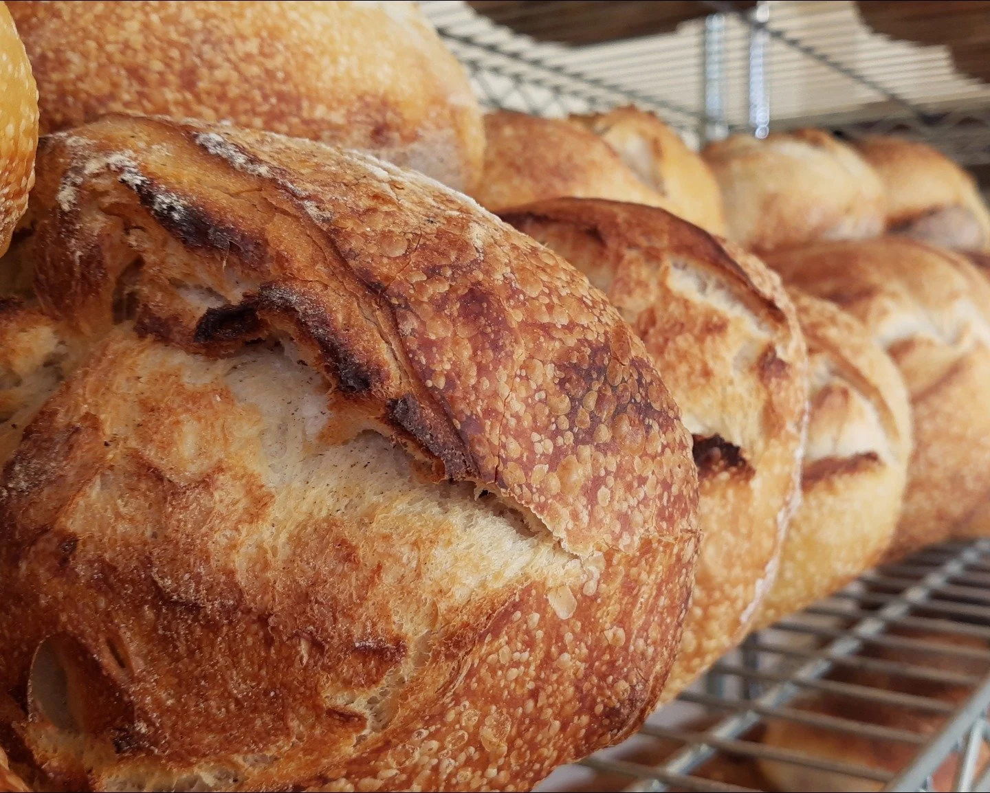 fornada linda saindo do forno pra alegrar voc&ecirc; (e seu est&ocirc;mago).

🏠 Lojinha aberta sempre de ter&ccedil;a a s&aacute;bado das 9 &agrave;s 19 horas. 

📍Rua Paula Ney, 298, na Aclima&ccedil;&atilde;o, pertinho do metr&ocirc; Ana Rosa

#co