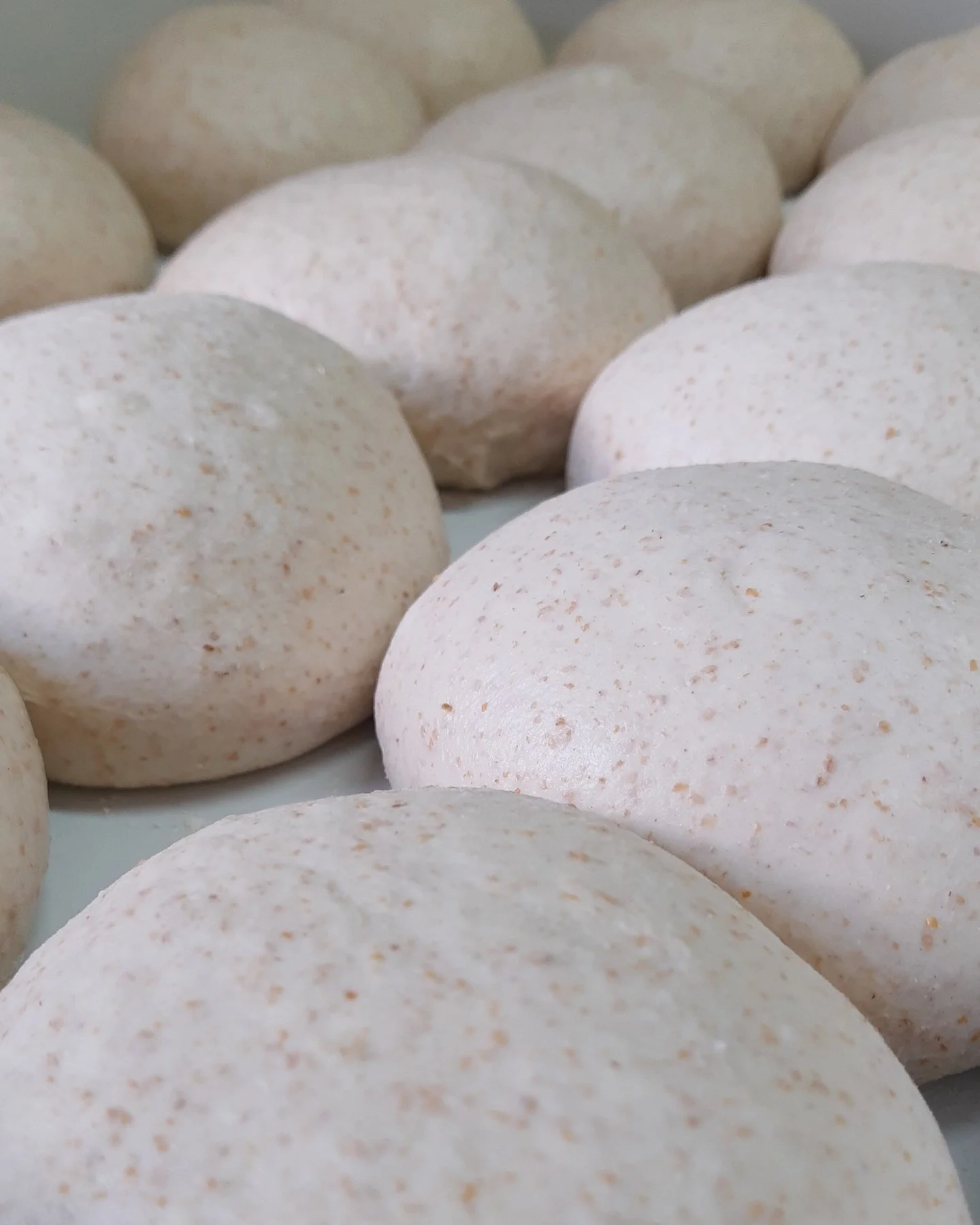 aos poucos e sem pressa as coisas v&atilde;o voltando ao normal. a luz voltou, a &aacute;gua tamb&eacute;m, conseguimos produzir alguns p&atilde;es para amanh&atilde;. perdemos algumas coisas, sofremos um pouquinho, mas principalmente, agrade&ccedil;