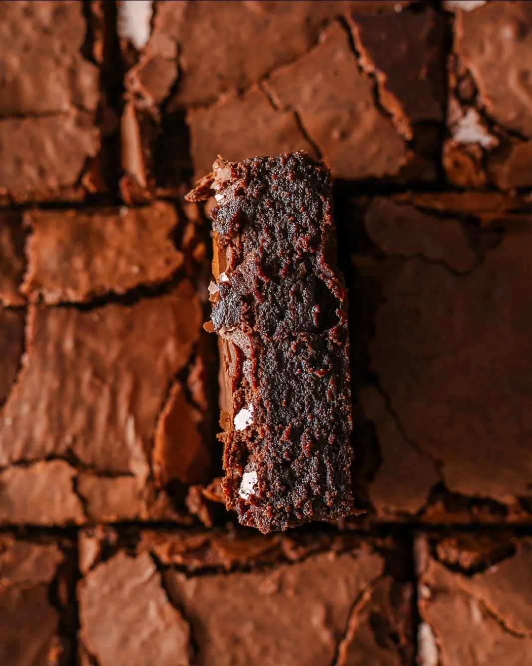 N&atilde;o &eacute; porque fui eu que fiz, mas esse brownie &eacute; D E L I C I O S O e eu acho que combina com f&eacute;rias, com fim de ano, com Natal, com caf&eacute;zinho da tarde, com tudo. S&oacute; vem que a gente abre at&eacute; o dia 24 dir