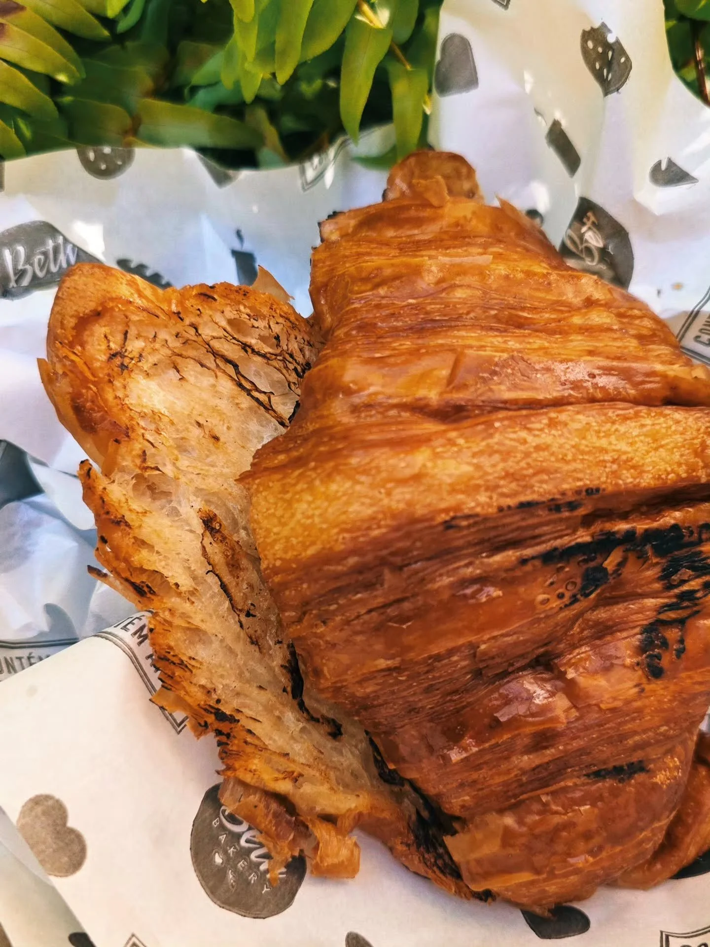 Aos 744 dias desse dezembro eterno eu acho que voc&ecirc; merece um croissant na chapa de caf&eacute; da manh&atilde; (eu j&aacute; mordi o meu).

&Uacute;ltimo dia de lojinha aberta de 2025, at&eacute; as 13h, pra voc&ecirc; fazer seu est&ocirc;mago