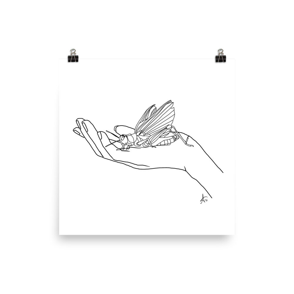 enhanced-matte-paper-poster-(in)-18x18-transparent-61148b0d9ea17.jpg