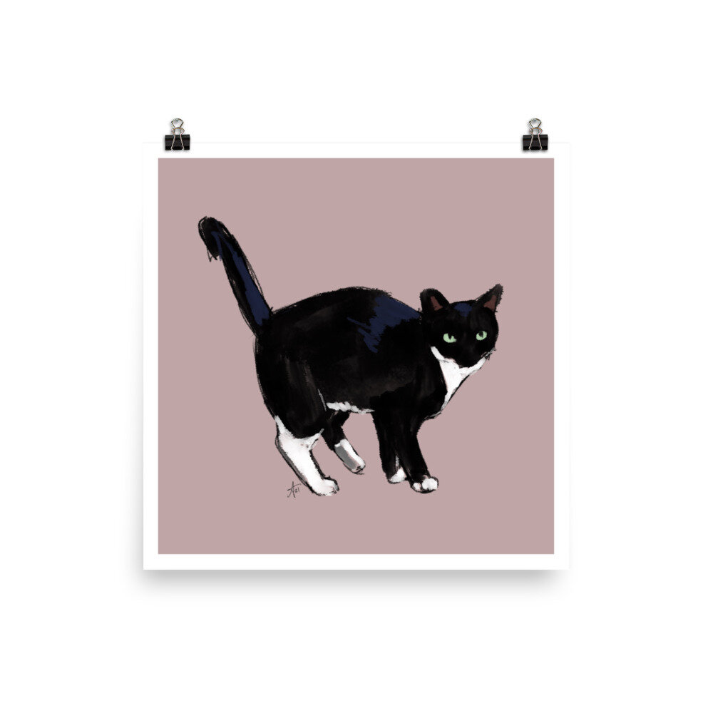 enhanced-matte-paper-poster-(in)-12x12-transparent-61148c9a3e088.jpg
