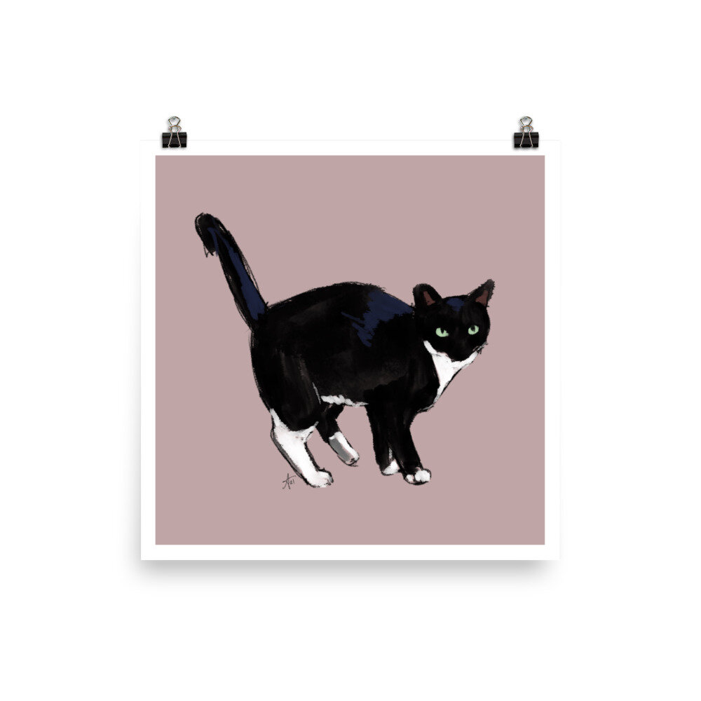 enhanced-matte-paper-poster-(in)-14x14-transparent-61148c9a3e11c.jpg