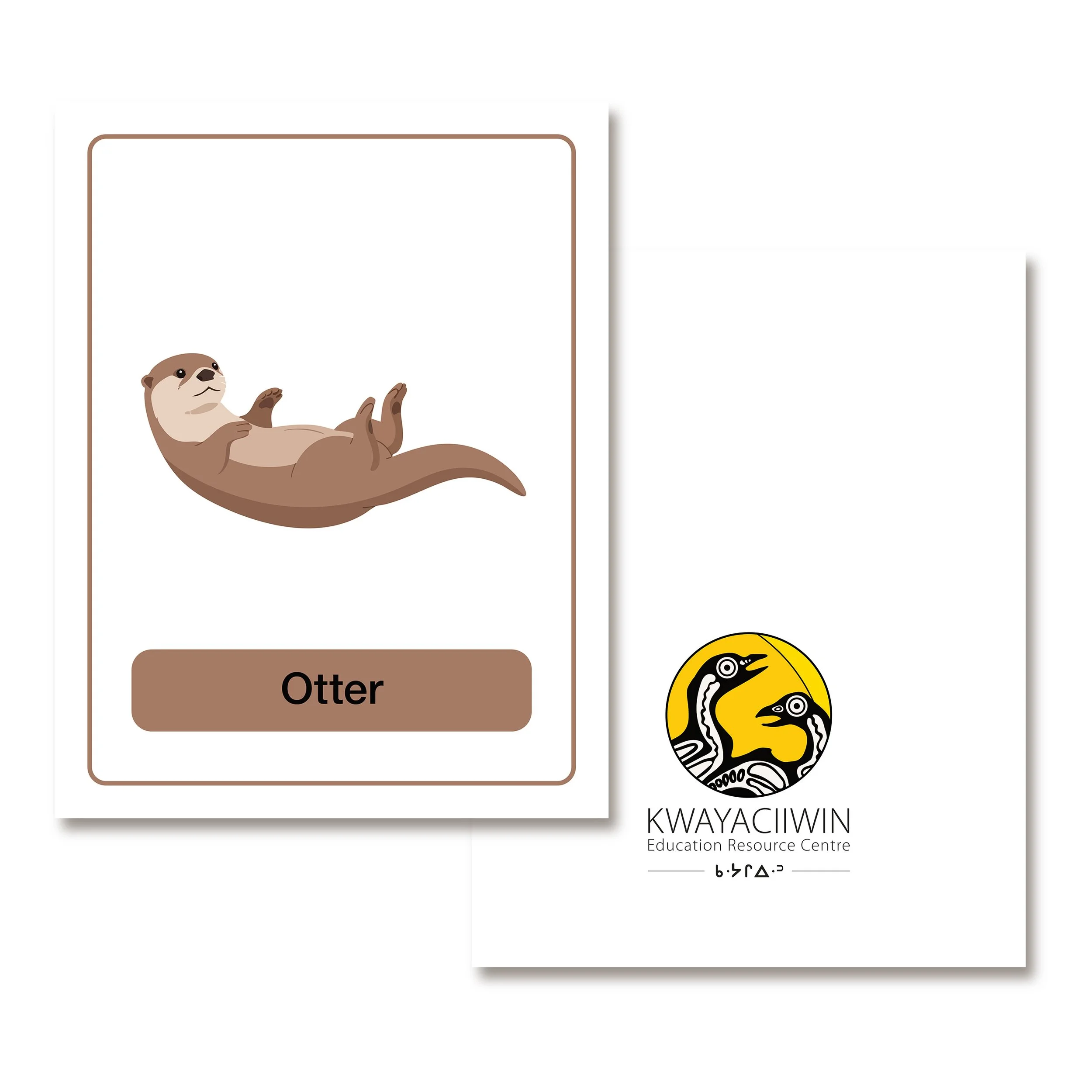 Animal Flashcards