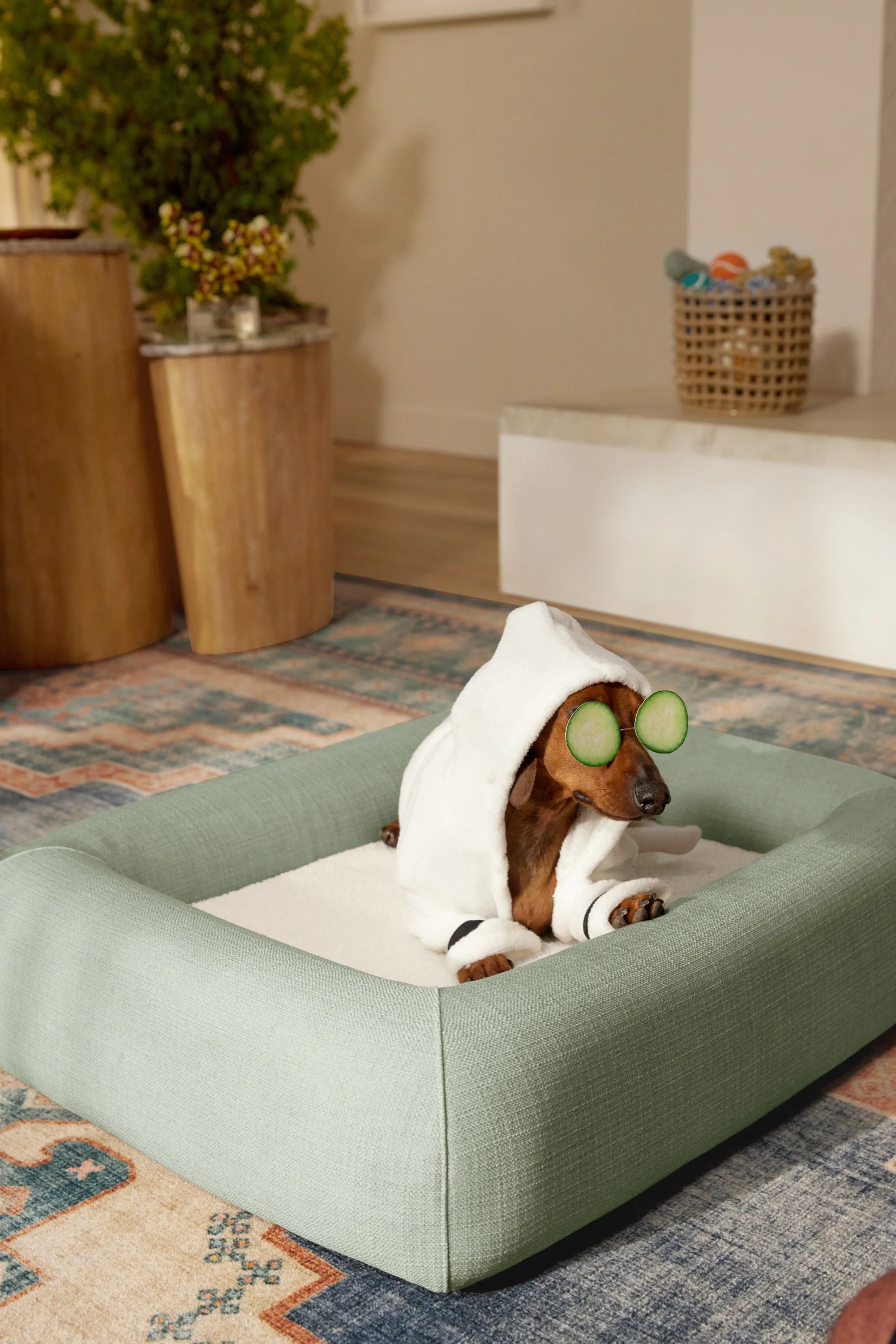 240530 Pet Beds Shadowshooting_0819_tb_v2 copy.jpg