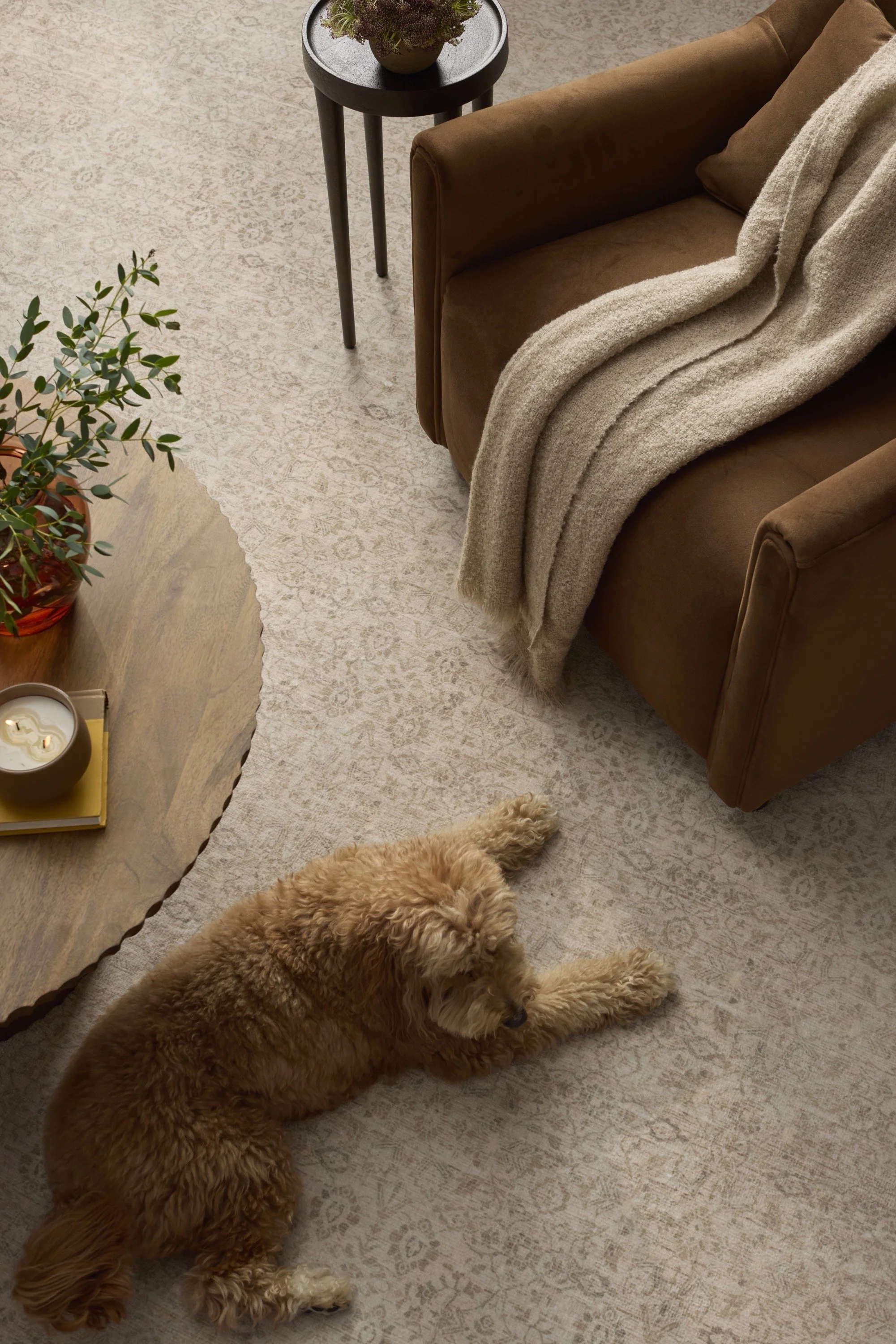 250710FNDR_0135_STYD_Sierra Birch & Natural.jpg