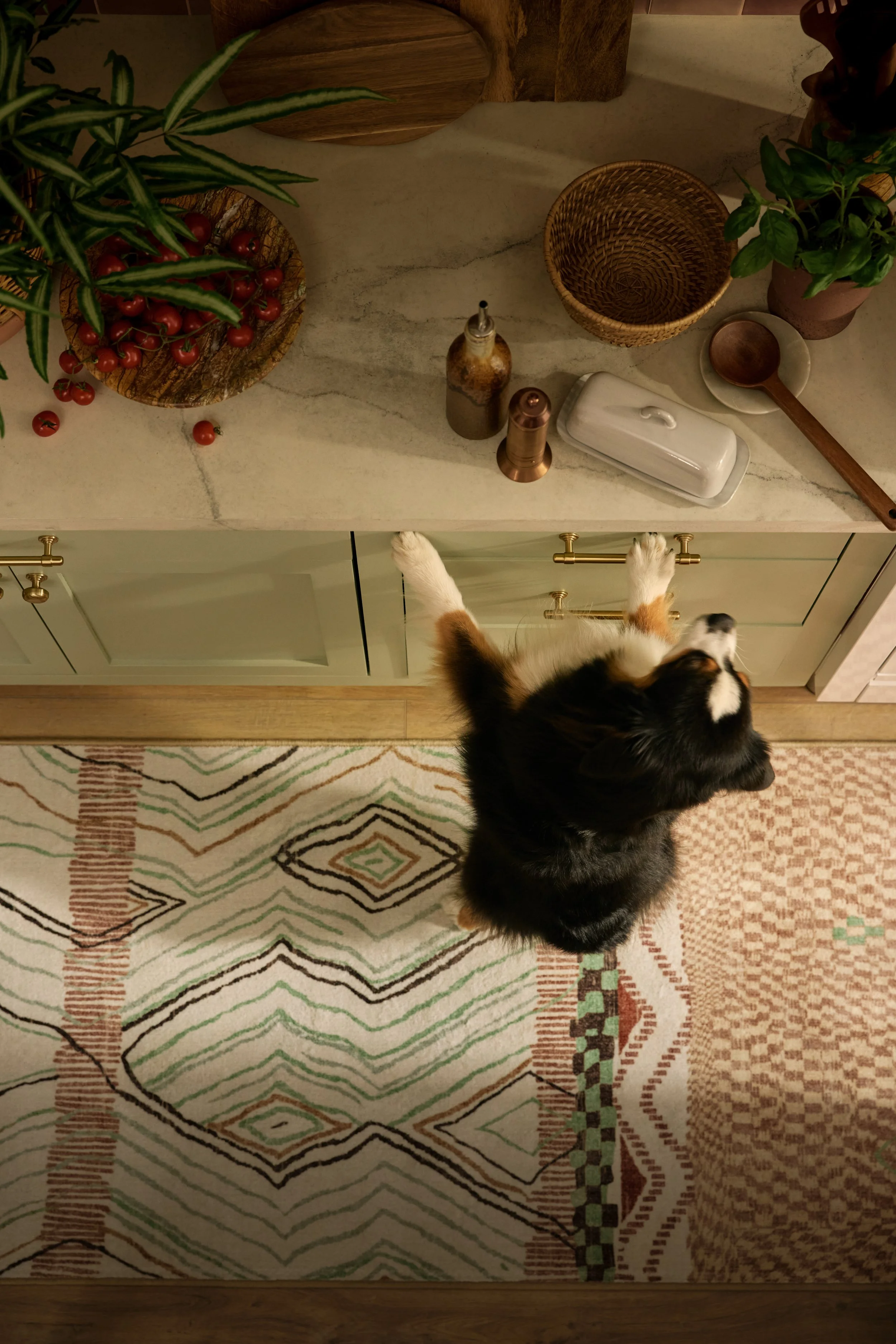 251209BOHO_1887_KIT WOMAN & DOG_WK_V1 2.JPG