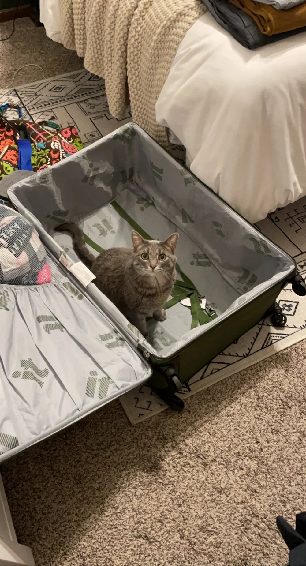 Finn unsure about packing 