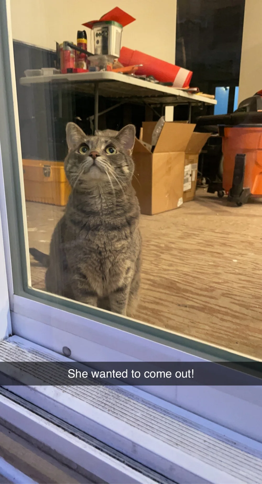 Finn started to get more comfortable. 