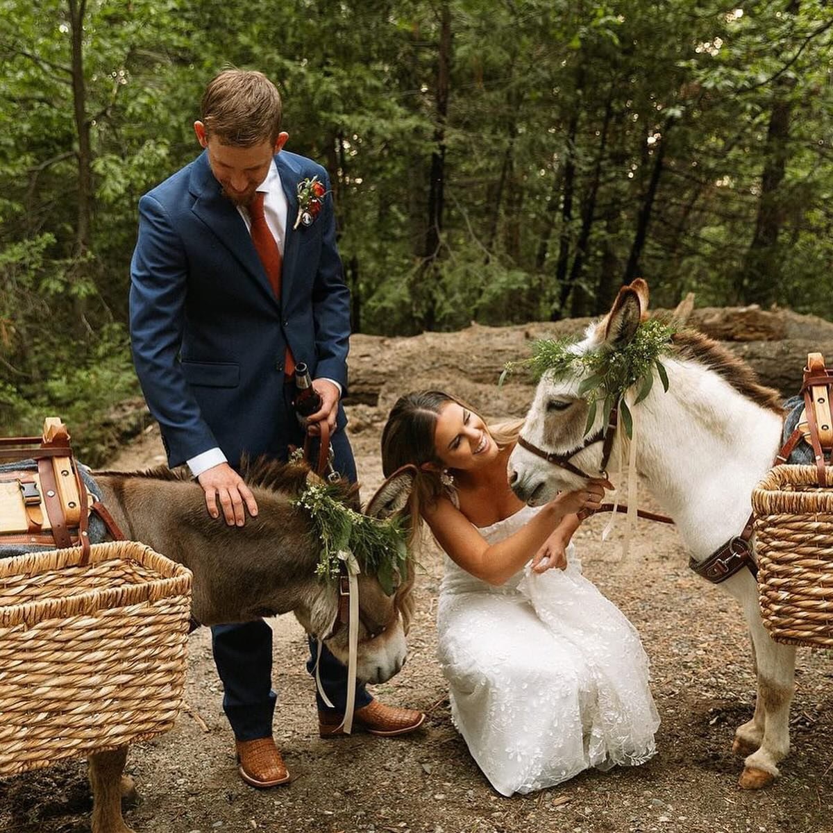 This bride is a donkey mama herself, so when she couldn&rsquo;t bring her own to the wedding, we were happy to provide stand ins. Thank you @whitneylynfarmer for introducing us to @thelodgeattwomoons and their fairytale venue. As a bonus, we even mad