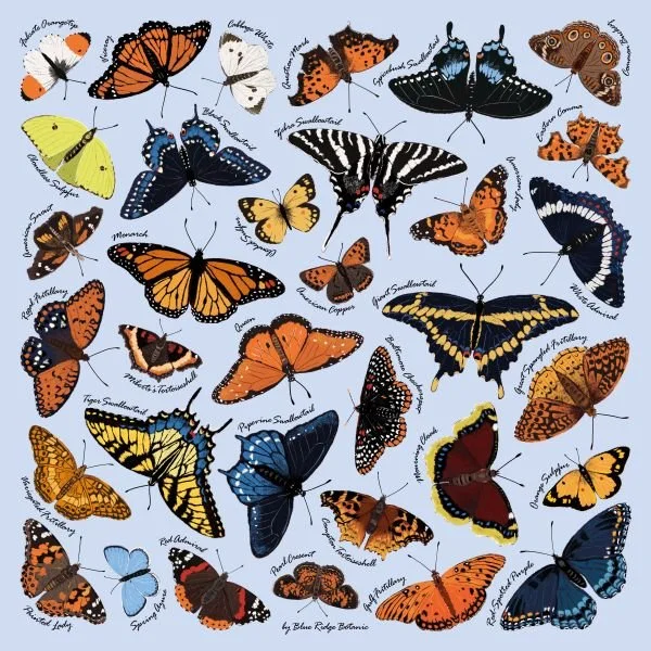BlueButterfly600.jpg