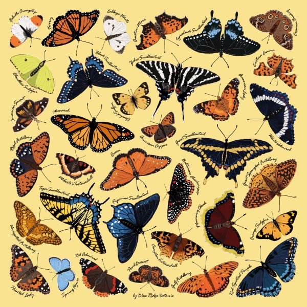 YellowButterfly600.jpg