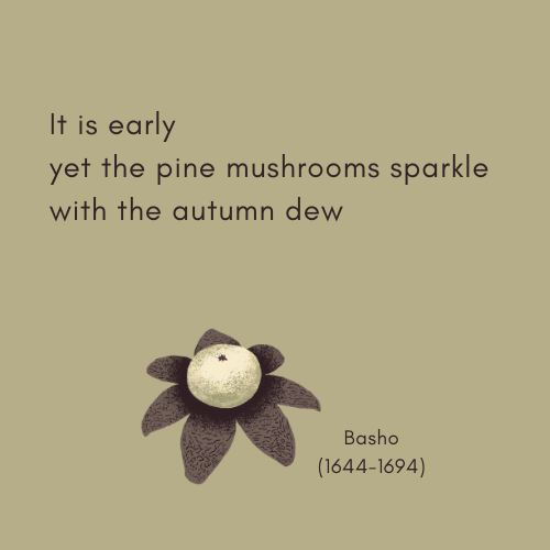 Mushroom Haiku 8.png