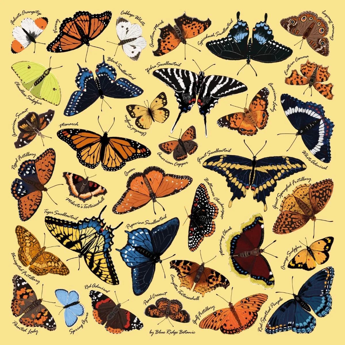 YellowButterfly1200.jpg