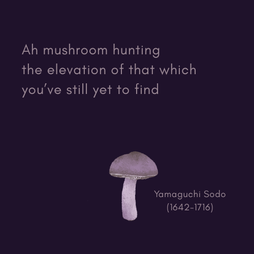 Mushroom Haiku 5.png