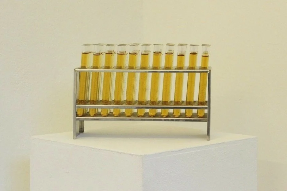 Study of Piss I (Feb 2023)