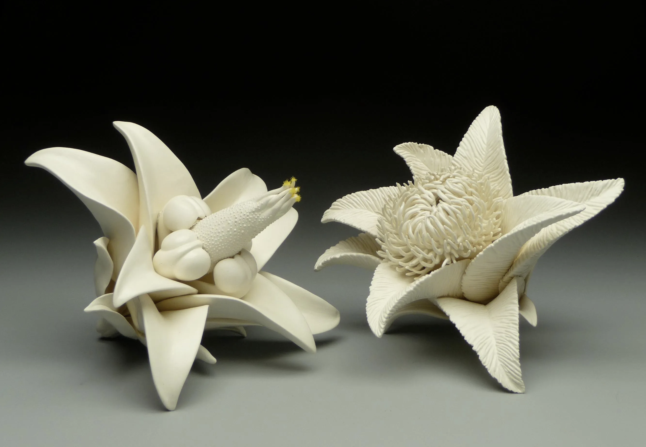 CJ Jilek - Biomorphic Sculptural Forms