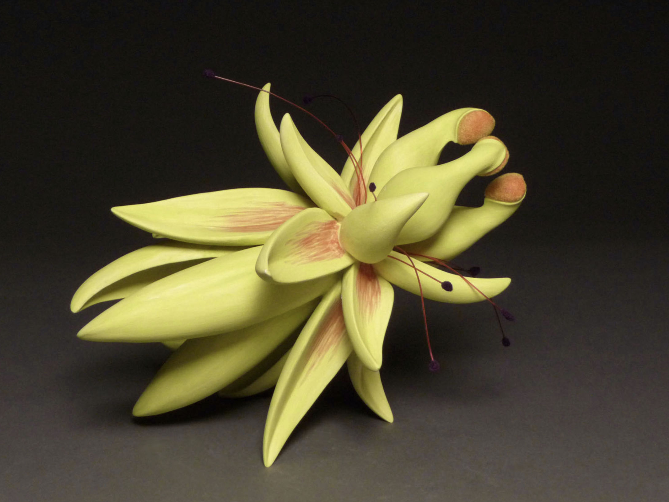 Screenshot 2026-03-10 at 1.10.01 pm.png