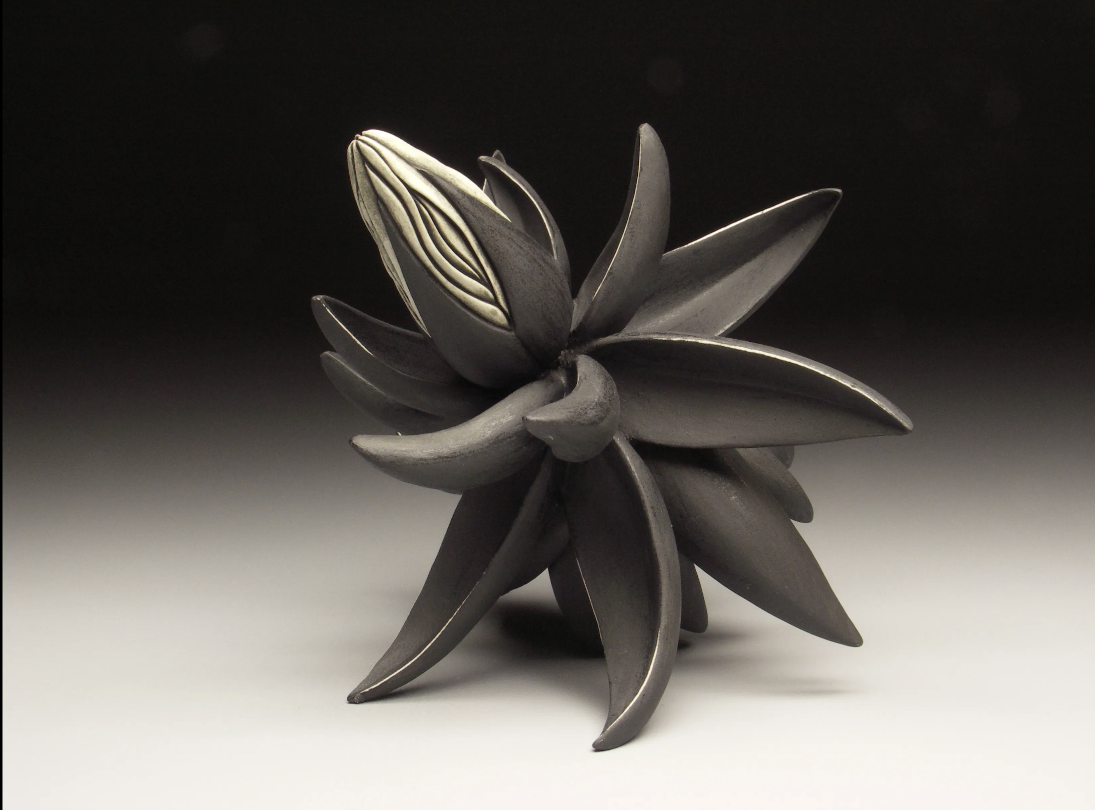 Screenshot 2026-03-10 at 1.10.36 pm.png