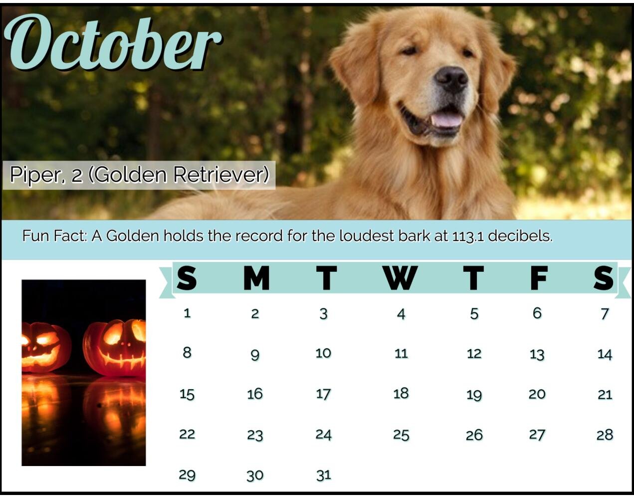 2021 Top Dog Breeds Calendar copy-11.jpg
