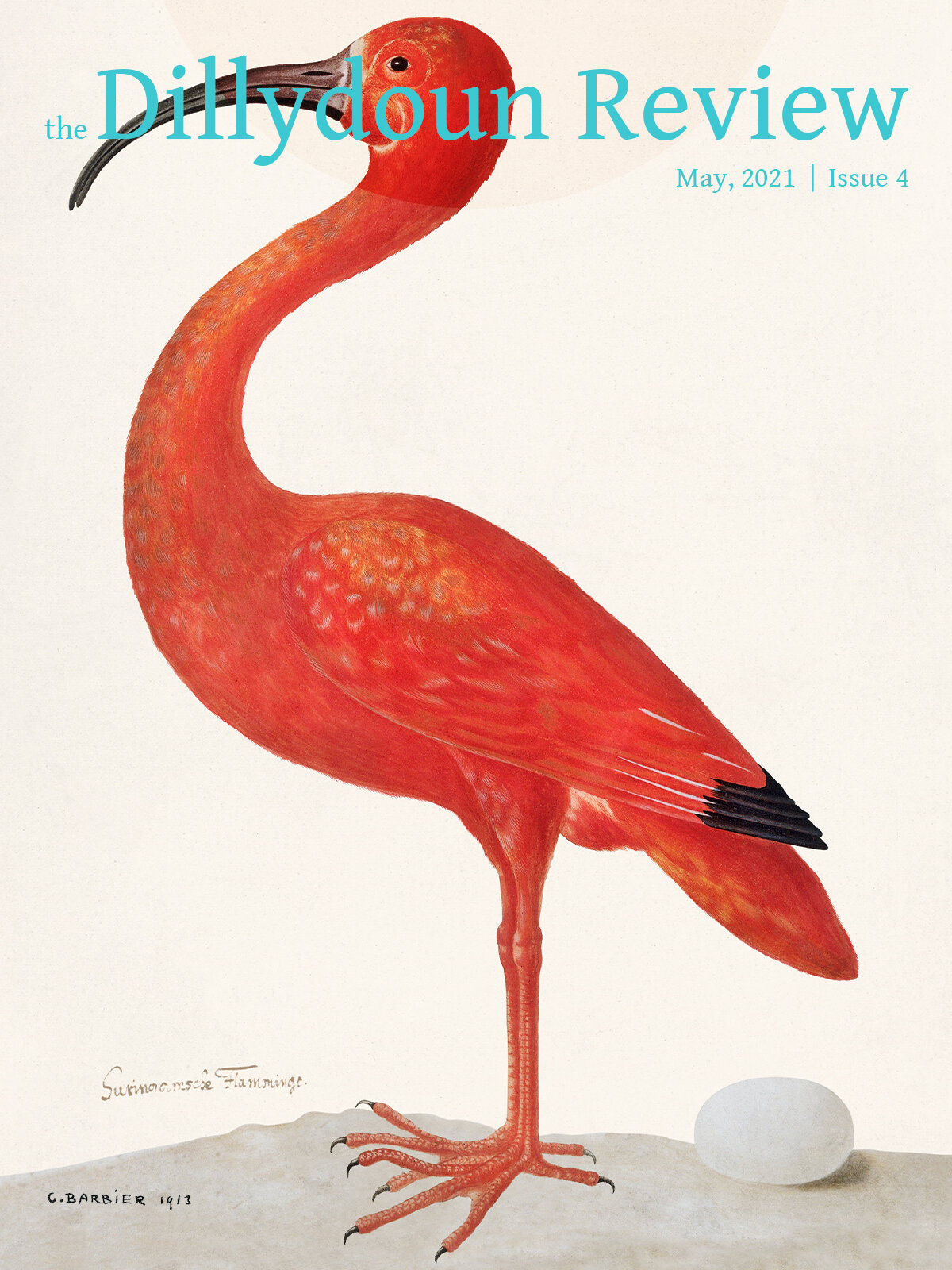 Cover of the Dillydoun Review, May 2021, Issue 4, featuring a detailed illustration of a flamingo standing on one leg with an egg beside it. The flamingo is painted with shades of red and orange, with black on its beak and legs. The illustration is signed by C. Barbier, 1913, and labeled 'Suinornis Flamminga'.